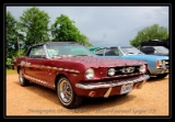 Mustang2