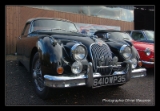 Jaguar.DNG