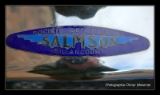 Salmson.DNG-6