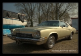 Buick.DNG
