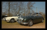 Jaguars.DNG