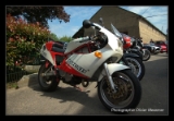 IMGP4729