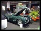 Jaguar-001