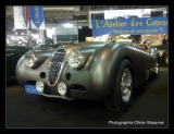 Jaguar-003