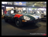 Jaguar-004