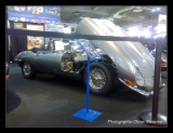 Jaguar-005