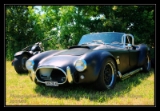 cobra2