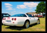 corvette