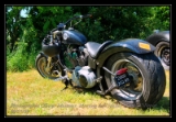 harley