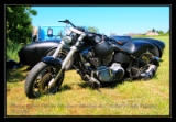 harley2