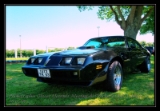 transam