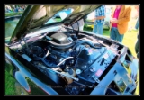 transammoteur