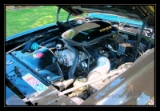transammoteur4