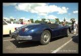 IMGP1191