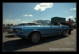 IMGP1264
