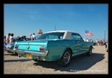 IMGP2565
