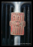 IMGP2309